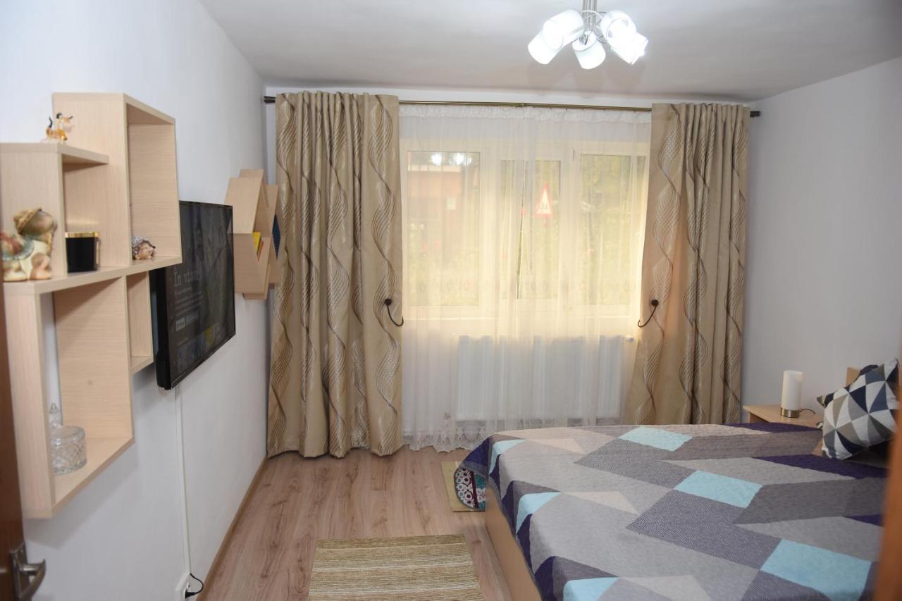 1St Apartment Nehoiu Dış mekan fotoğraf