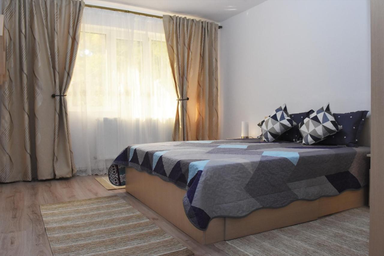 1St Apartment Nehoiu Dış mekan fotoğraf