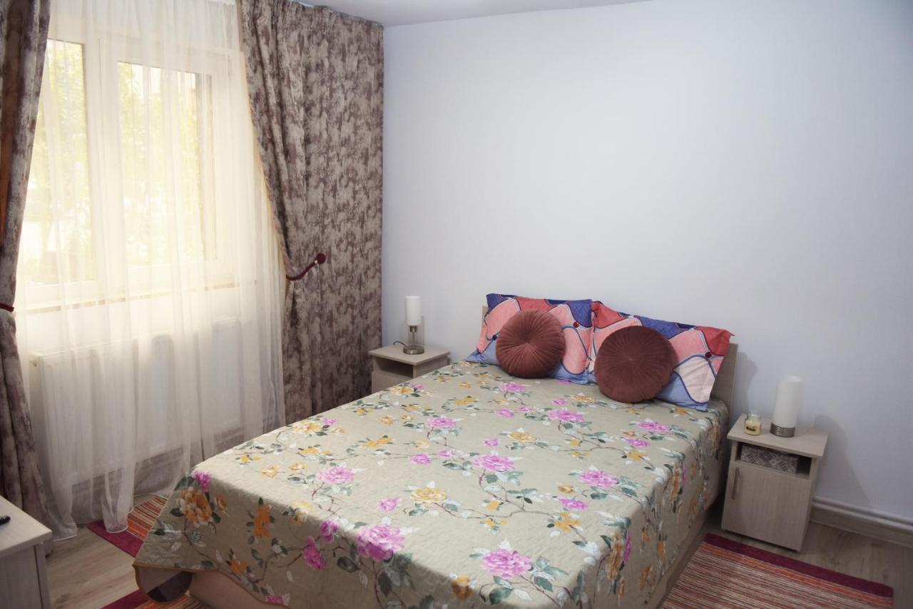 1St Apartment Nehoiu Dış mekan fotoğraf