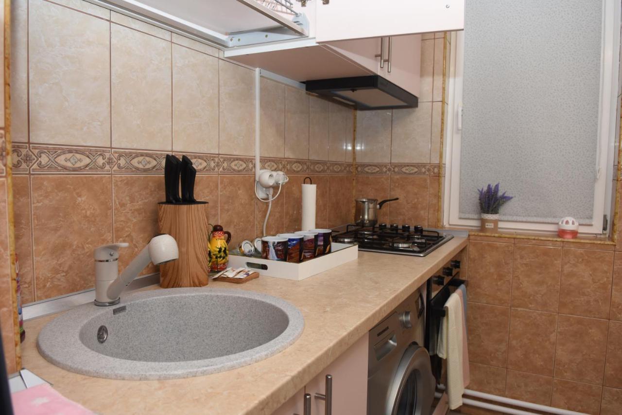 1St Apartment Nehoiu Dış mekan fotoğraf