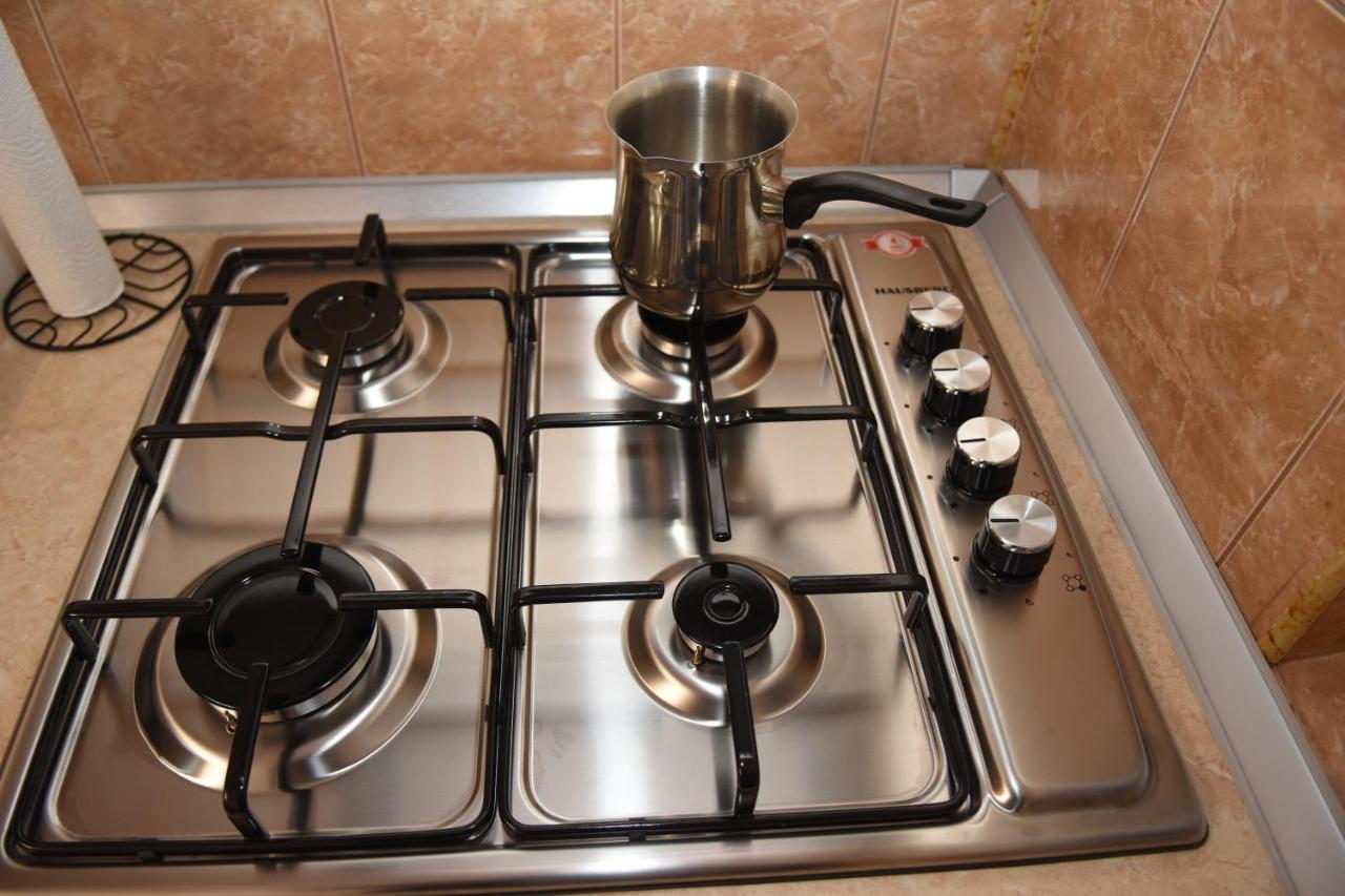 1St Apartment Nehoiu Dış mekan fotoğraf