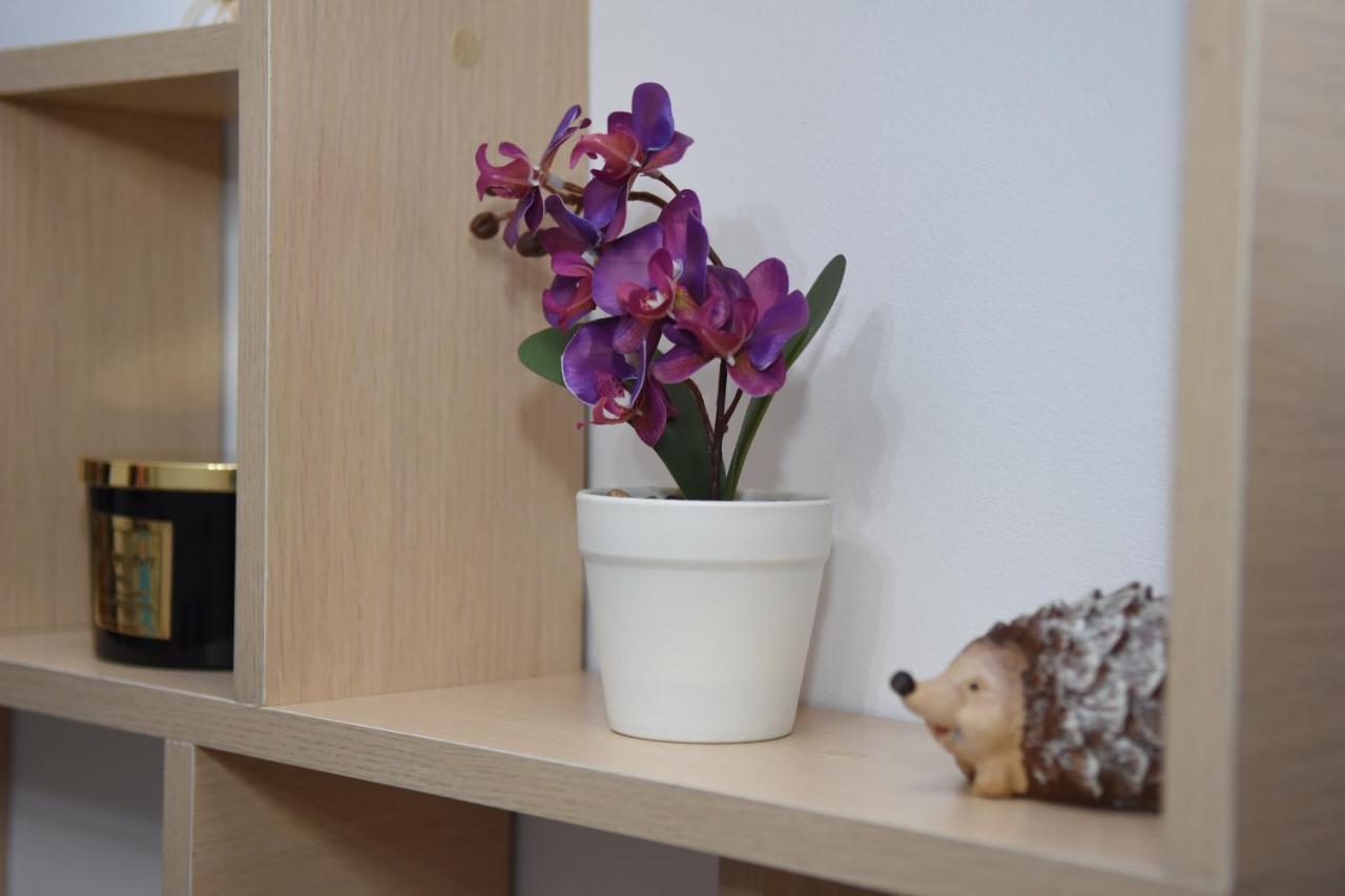1St Apartment Nehoiu Dış mekan fotoğraf