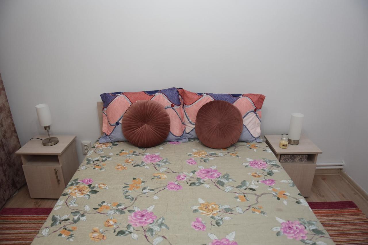 1St Apartment Nehoiu Dış mekan fotoğraf