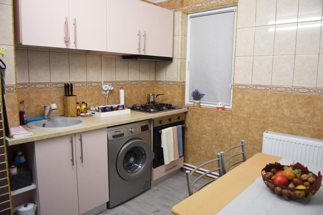 1St Apartment Nehoiu Dış mekan fotoğraf