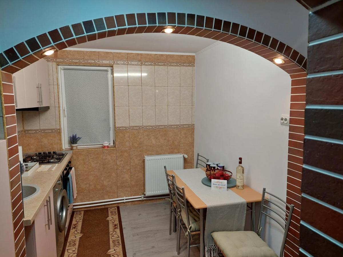 1St Apartment Nehoiu Dış mekan fotoğraf